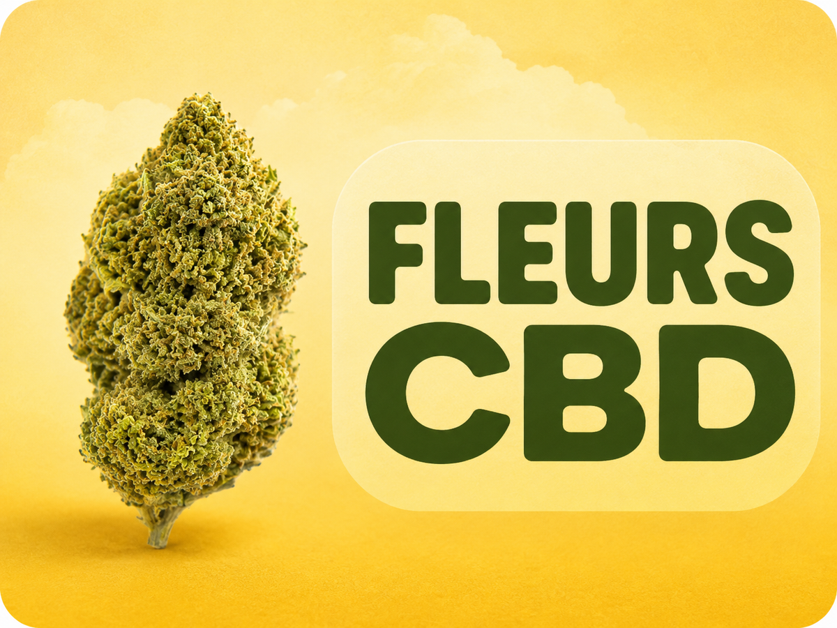 Découvrir les fleurs CBD françaises