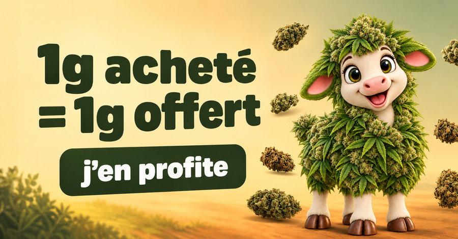 Offre La Bonne Récolte