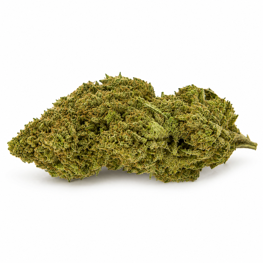Gorilla Glue