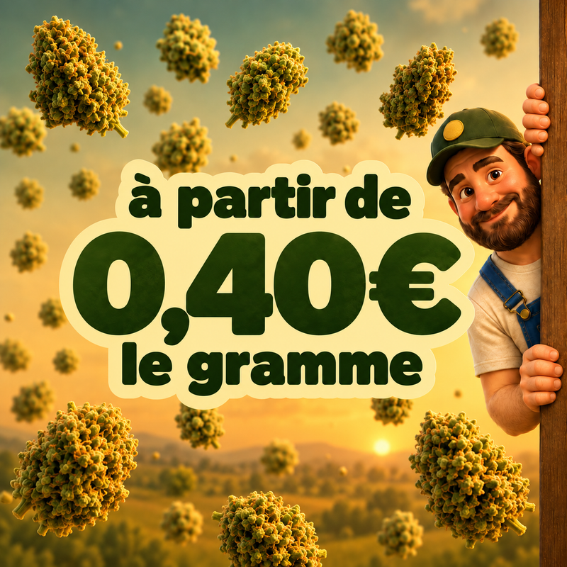 Offre La Bonne Récolte