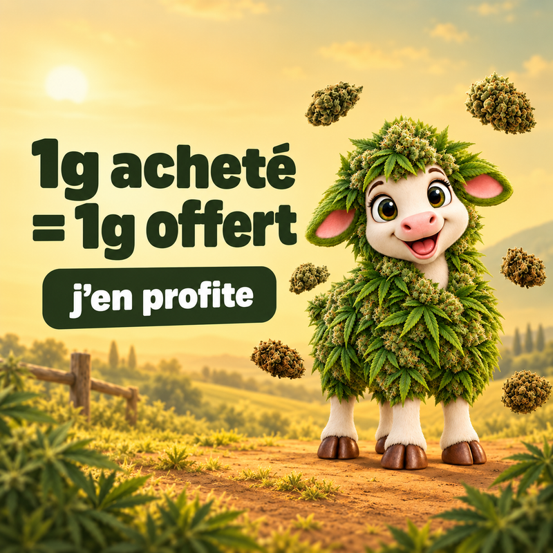 Offre La Bonne Récolte