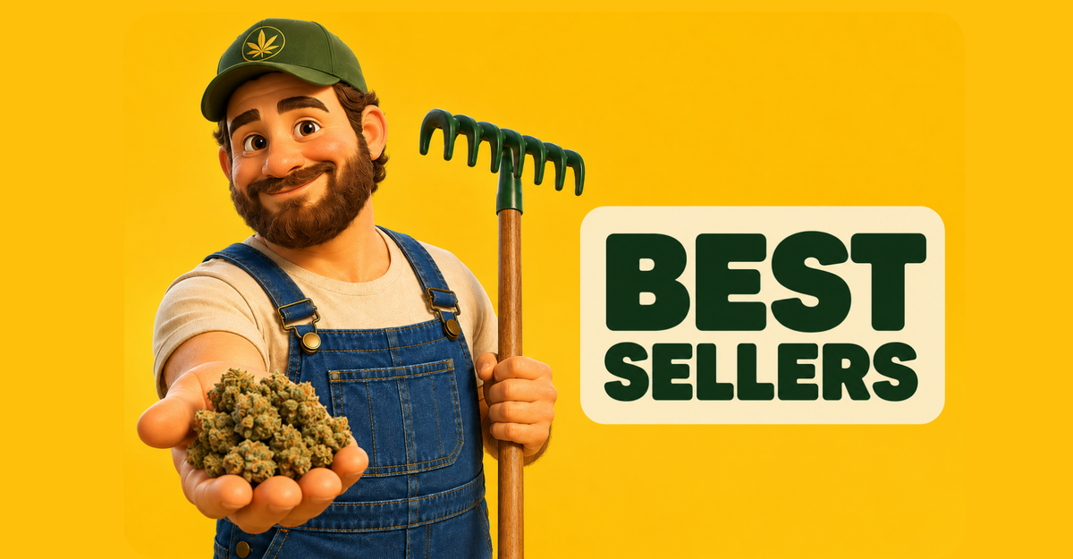 Découvrir les meilleures ventes CBD