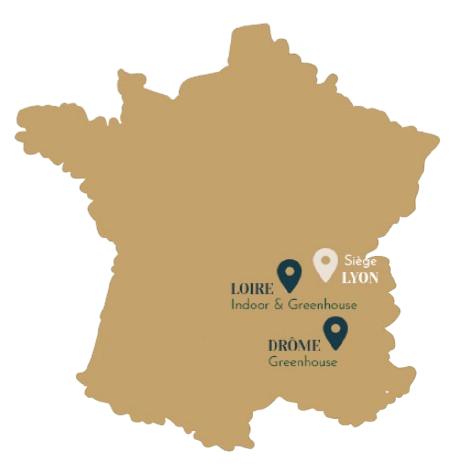 La Bonne Récolte